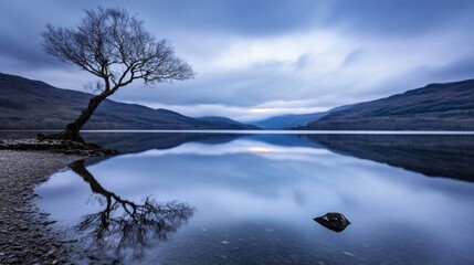 Leinwandbilder - Serene twilight landscape: a lone, leafless tree stands on the shore of a calm loch, its reflection mirrored perfectly in the still water, mountains in the background. : Generative AI