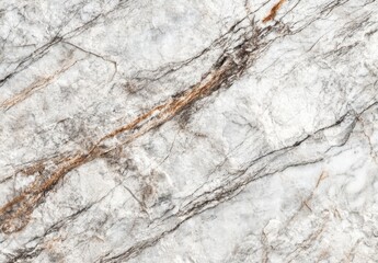 Poster - High-resolution image showcasing a detailed texture of light grey marble with striking brown and black veining patterns, ideal for design projects requiring a natural stone aesthetic. : Generative AI