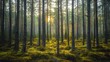 © vik173 - Estonia landscape boreal forests and Baltic islands beautiful nature view
