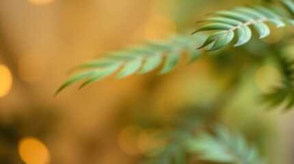 Poster - Abstract Blurred Background with Lush Green Foliage