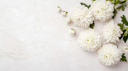 Aufkleber - Elegant arrangement of white dahlias and buds on a light marble surface, creating a serene and minimalist floral composition. : Generative AI