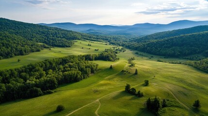 Poster - Aerial view of a serene valley landscape, showcasing rolling green hills, lush forests, and distant mountains under a partly cloudy sky. : Generative AI