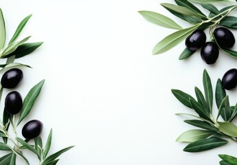 Aufkleber - A frame of fresh olive branches with dark olives on a white background, ideal for culinary or beauty product advertisements. : Generative AI