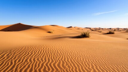 Poster - Expansive Sahara Desert landscape at sunrise, showcasing the undulating orange sand dunes under a clear blue sky.  Sparse desert vegetation punctuates the scene. : Generative AI