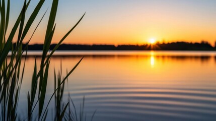 Poster - Serene sunset over calm lake water, with tall grasses in the foreground, creating a peaceful and tranquil scene. : Generative AI
