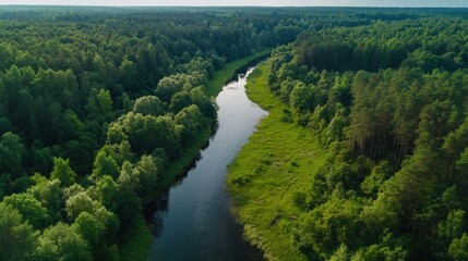 Aufkleber - Aerial view of a serene river meandering through a lush green forest, showcasing the vibrant summer foliage and tranquil waterway. : Generative AI