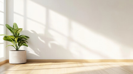 Poster - A serene minimalist room interior features a large potted plant near a bright window, casting soft light and shadows on the white wall and light wood floor. : Generative AI