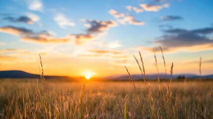 Fototapete - Golden hour sunset over a field of tall grass, with the sun setting behind distant mountains, creating a warm and peaceful landscape. : Generative AI