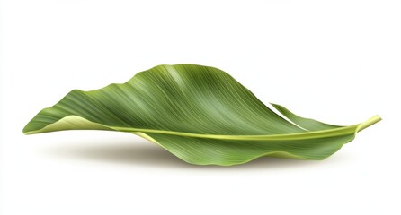 Poster - Single, vibrant green tropical leaf isolated on white, showcasing intricate vein patterns and a slightly curled edge, perfect for design projects needing a natural element. : Generative AI