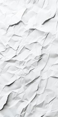 Poster - Abstract Monochrome Crumpled Texture Gray and White Mountainous Surface