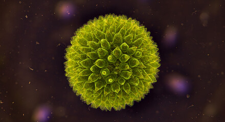 Poster - Detailed Green Sphere with Intricate Texture and Dark Speckled Background for Scientific Illustration