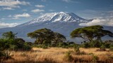 A scenic shot of Mount Kilimanjaro with its snow-capped peak towering over golden savanna grass and acacia trees .