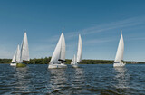  group of sailboats with white sails gliding across a body of water under a clear blue sky.
