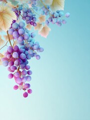 Aufkleber - Bunch of Ripe Grapes Hanging From Vine Under a Soft Gradient Sky in a Serene Vineyard Setting