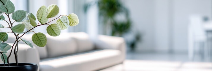 Leinwandbilder - Therapy Couch and Greenery in a Bright, Blurred Space for Relaxation and Comfort
