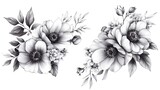 Elegant Monochrome Floral Composition: A Pair of Exquisite Pencil Sketches of Anemone Bouquets