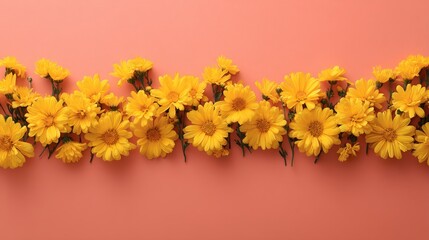 Poster - Vibrant yellow daisies are arranged in a neat row on a pastel coral surface, capturing the essence of spring and providing a lively backdrop for creative projects