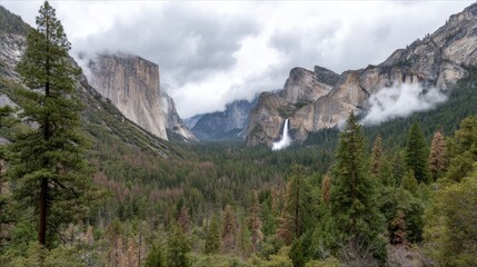 Poster - Towering waterfall plunges powerfully into a foggy basin, embraced by rocky cliffs and dense forest, showcasing nature's wonder and raw beauty