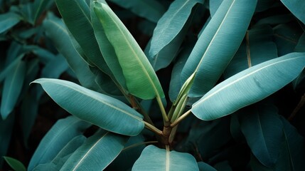Poster - Tropical leaves intertwine with soft edges, showcasing a harmonious blend of green and turquoise, capturing the essence of natural beauty in an enchanting setting