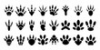 © desinger_Ai - Black animal tracks icon set showcasing different paw print shapes of wild forest and domestic creatures