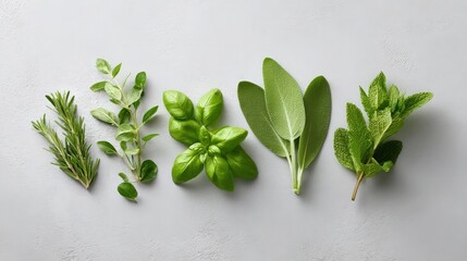 Poster - Vibrant Assortment of Fresh Herbs for Culinary Inspiration