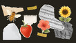 © Anna - Botanical and musical vintage paper sticker set on black background