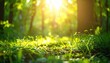 © BIZTECHART - Sunlit greenery awakens in forest nature photography serene environment close-up view outdoor beauty