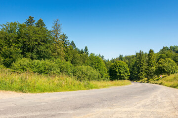 Wall Mural - pass through green deciduous forest. journey through countryside. old road in carpathian mountains. 