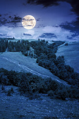 Wall Mural - tranquil countryside landscape with forest on the hill in summer at night. beautiful scenery view of