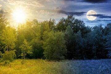 Wall Mural - landscape with forest on the hill on summer solstice. day and night time change concept. scenic view