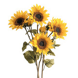 Vibrant sunflowers bouquet against colorful striped background a summer floral design