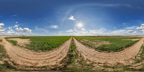 Wall Mural - hdri 360 panorama view on gravel muddy road among fields at evening with flock of birds in clouds in