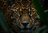 mysterious jaguar face with glowing green eyes lurking in dark rainforest for wildlife conservation awareness and endangered species photography
