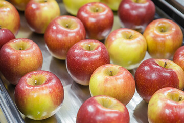 Poster - Ripe apples moving on conveyor belt in processing facility Generative AI
