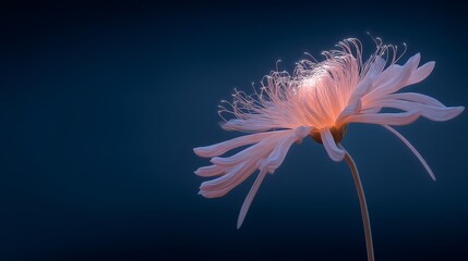 Poster - In a virtual environment, a futuristic plant life of cybernetic flowers blooms from a digital landscape with an abstract viewpoint