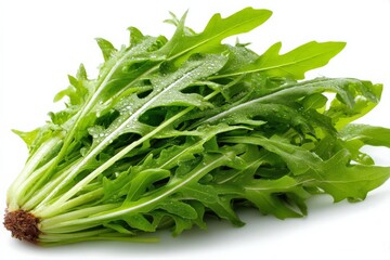 Poster - Freshly harvested arugula with droplets of water on crisp leaves at a local market in mid-afternoon sunlight