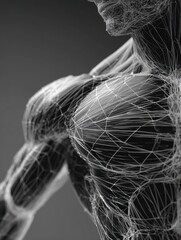 Poster - 3D Wireframe Representation of Muscle Structure Highlighting Anatomical Details in a Clean Layout for Educational Purposes