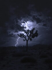 Wall Mural - Joshua Tree silhouette under dramatic lightning storm at night in desert landscape nature photography