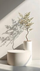 Poster - 白い背景にミニマルな植物の円柱台座と影が落ちる室内装飾の静物