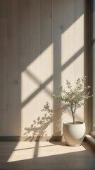 Poster - 暖かい光が差し込む白い部屋に置かれた鉢植えの植物 静寂な空間 デザインと自然が調和 ミニマルで現代的なインテリア