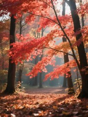Aufkleber - 紅葉の森 深い緑の木々と赤い葉の美しいコントラスト 秋の日の光が差し込む日本の森林風景