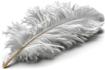 Poster - Large white feather resting on a flat surface highlighting its intricate details and soft texture