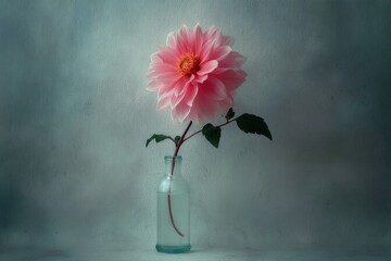 Poster - Beautiful pink dahlia flower in a glass bottle against a soft textured background