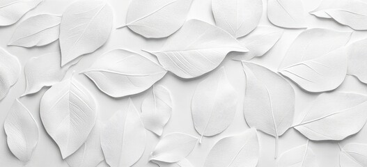 Poster - Abstract white leaf pattern (1)