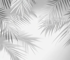 Poster - Monochromatic palm leaf shadows, elegant and light.  Detailed, muted grayscale image of palm fronds. Soft shadows of leaves against light background
