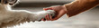 © Wonderful Studio - Closeup hand holding large dog paw, friendship, trust, warmth, human and pet connection, cozy indoor moment