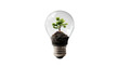 © Sun - Lamp bulb png in 3d transparent with sprout and ground no background in thinking concept.