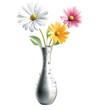 © Dinali - Colorful daisies in a silver vase with water droplets on a transparent background Concept of spring, freshness, and floral beauty