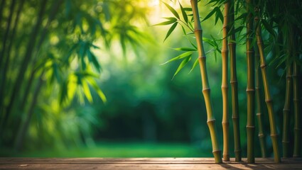 Poster - Sunlit bamboo in the yard