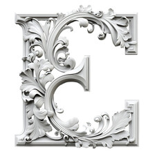 Poster - Intricate white ornamental letter E isolated against a transparent background showcasing detailed floral and foliate motifs.